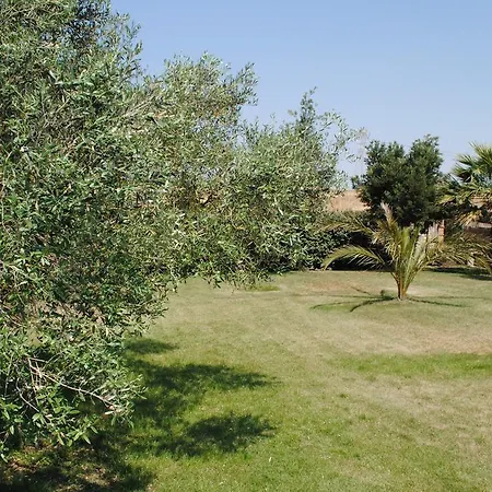 Farm stay Riu Sa Murta Elmas