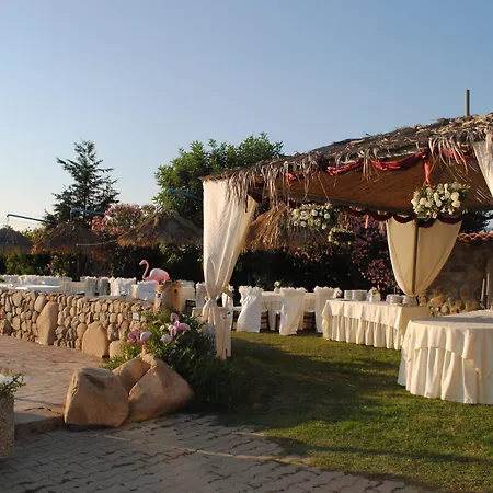 Farma Riu Sa Murta Elmas